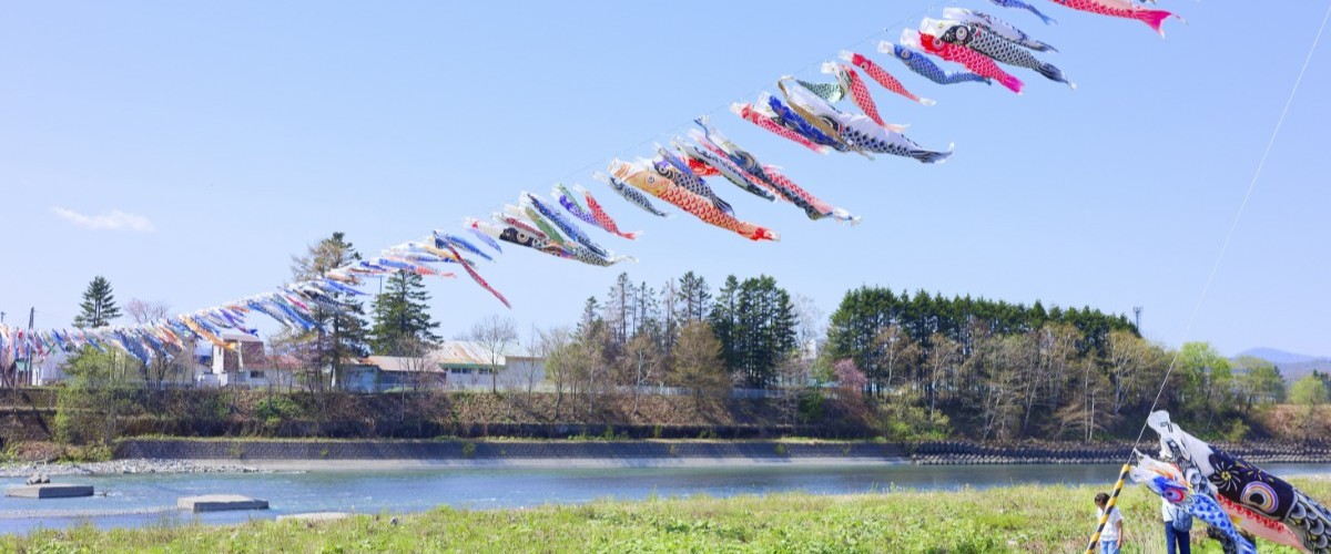 歴舟川清流鯉のぼり